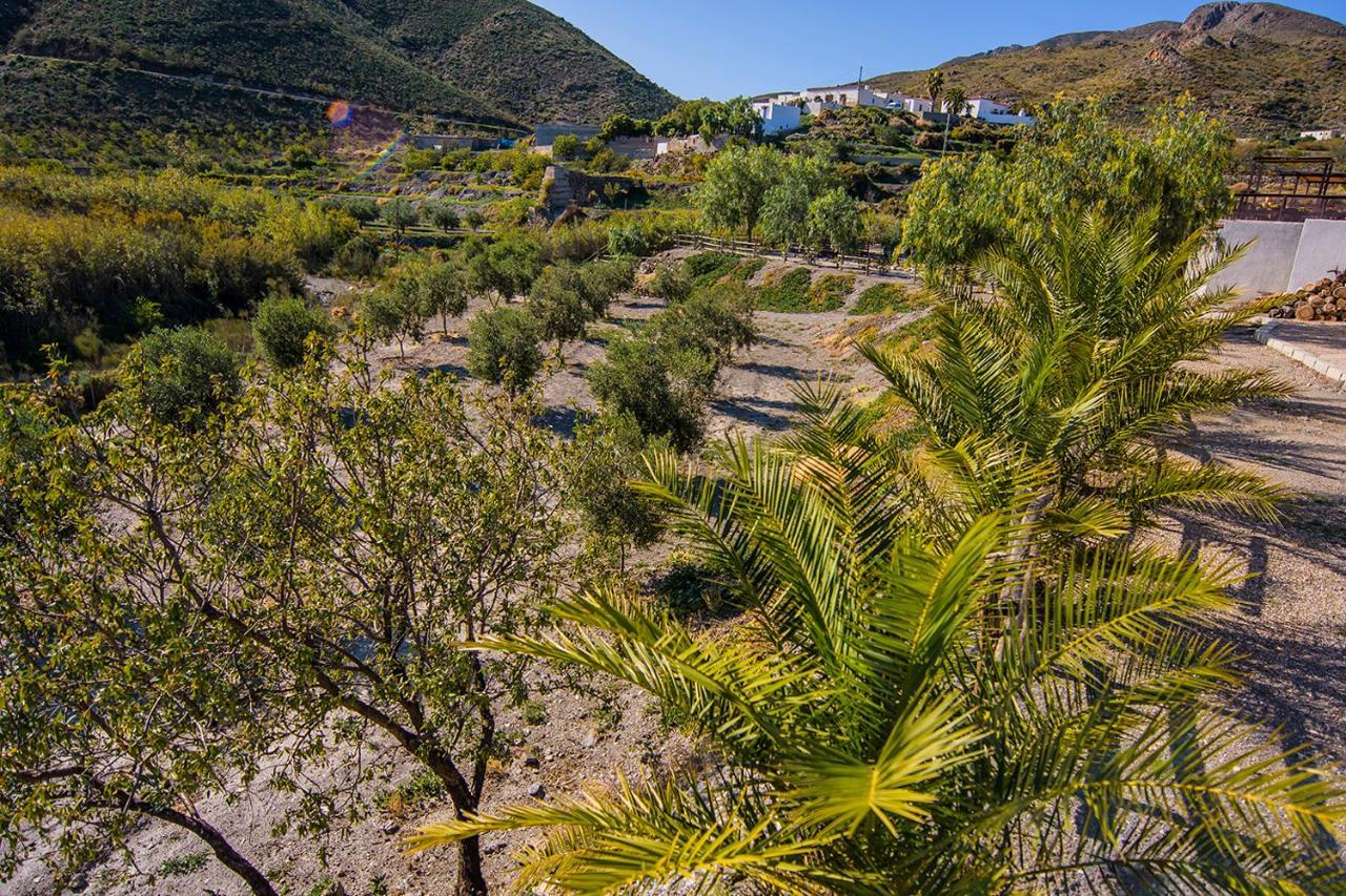 Cortijo 4 Elementos Bed & Breakfast Lucainena de las Torres Exterior photo